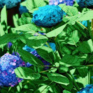 Meet your Posher, Michrure